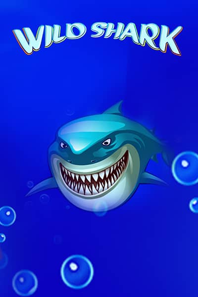 Wild Shark